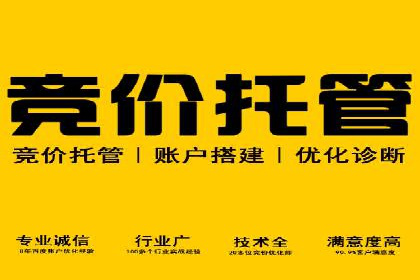 SEM搜索引擎优化案例集锦，助您掌握优化技巧